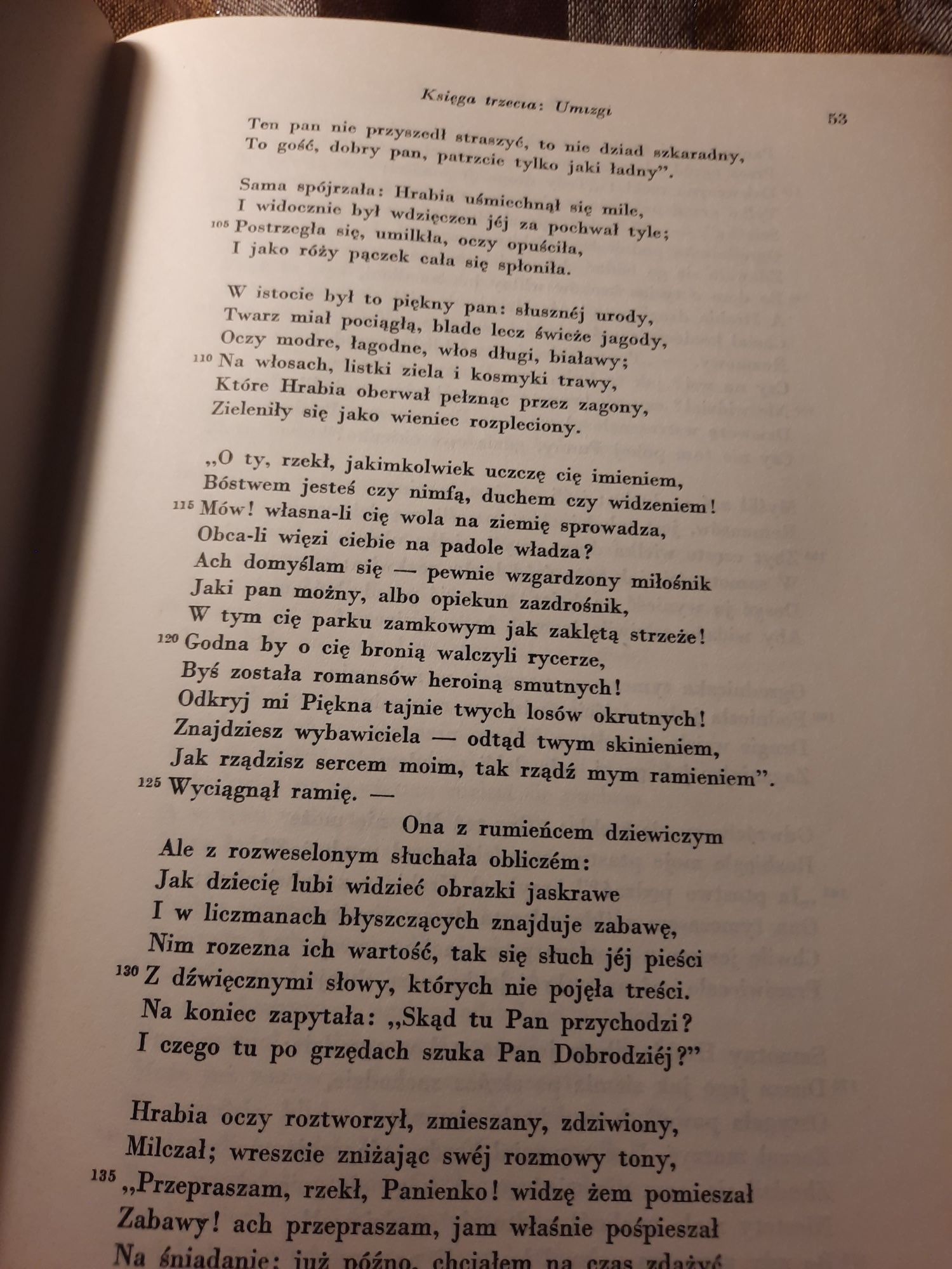 Książka Adam Mickiewicz-Dzieła wszystkie- Pan Tadeusz