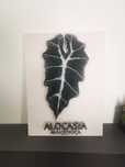 Obraz string art ALOKAZJA