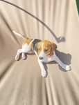 Beagle Fêmea - ADOÇÃO RESPONSÁVEL