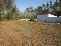 Limpeza de terrenos