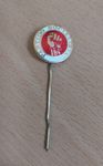 Pin Partido Socialista