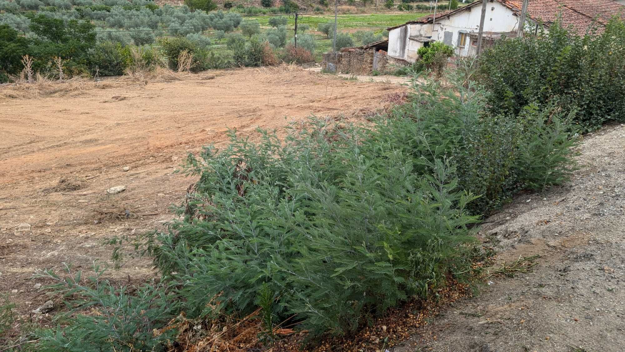 Vendo terreno para construção