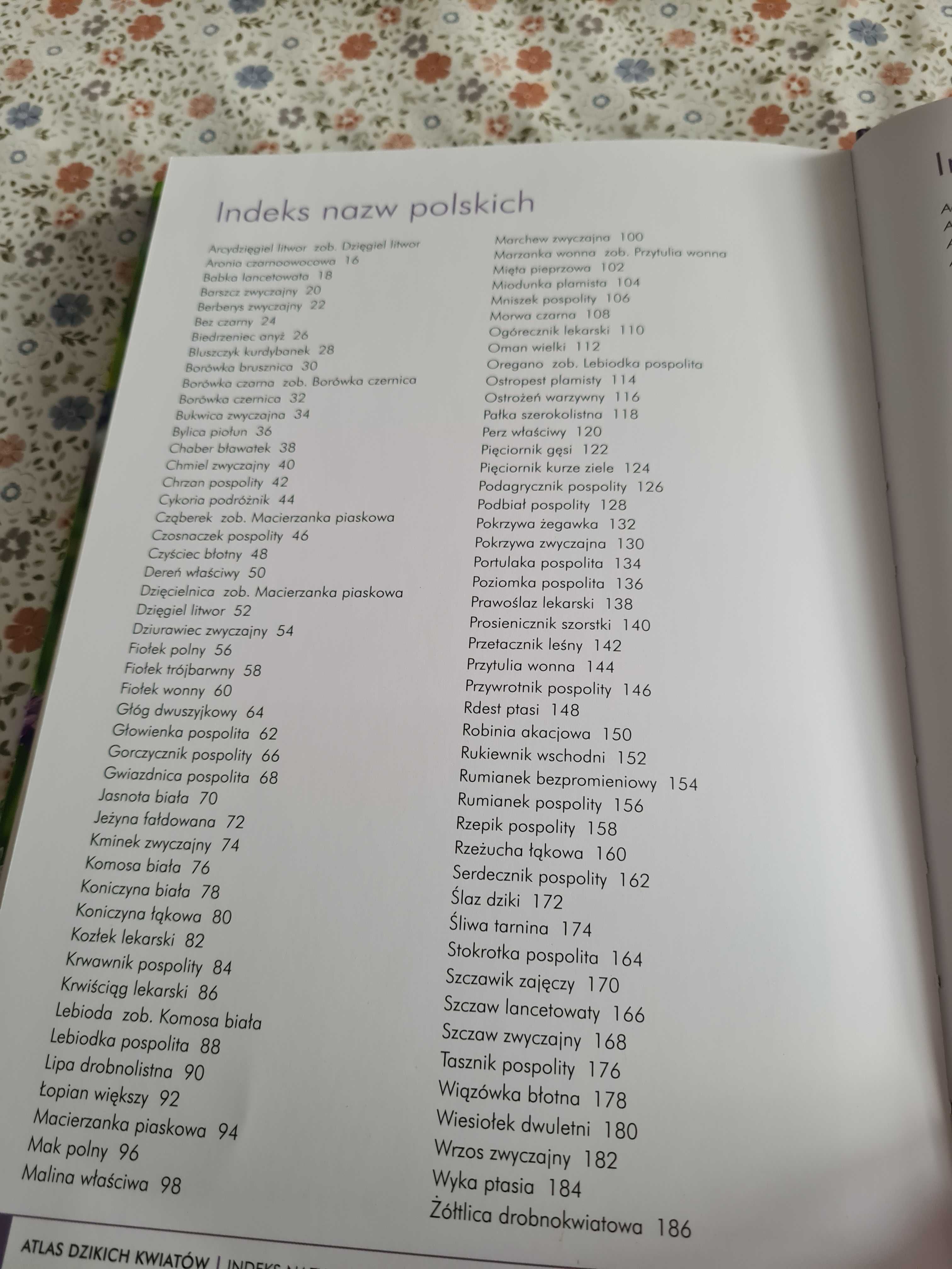 Atlas dzikich kwiatow  rosliny lecznicze i kulinarne