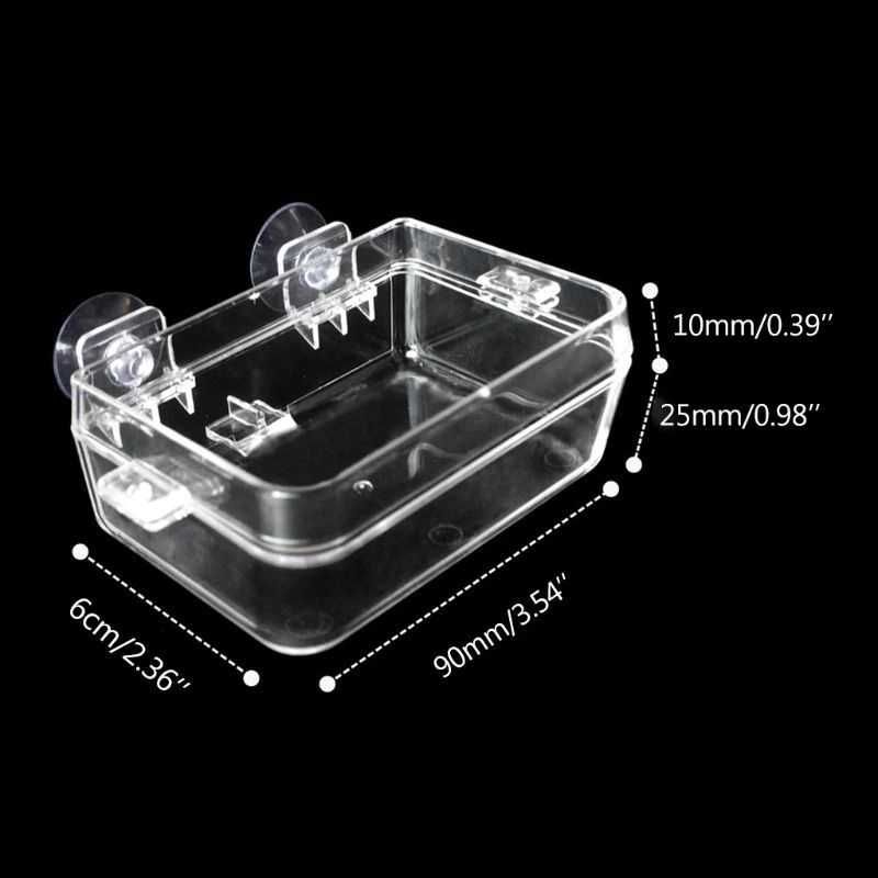 NOMOy miseczka na wodę pokarm, do terrarium kameleon rzekotki