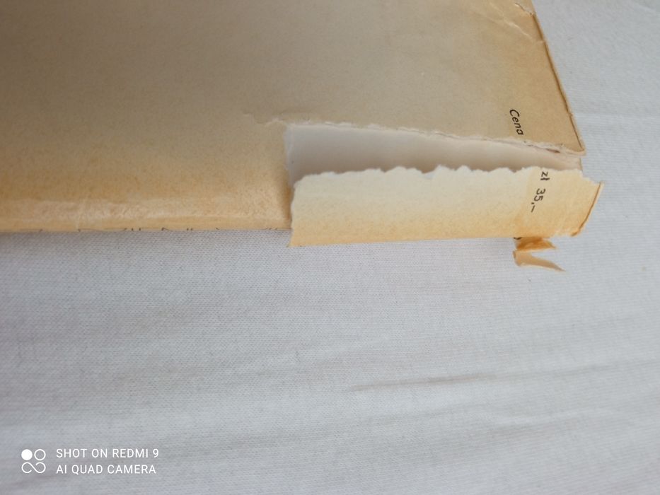 Kornel Filipowicz - Dzień wielkiej ryby