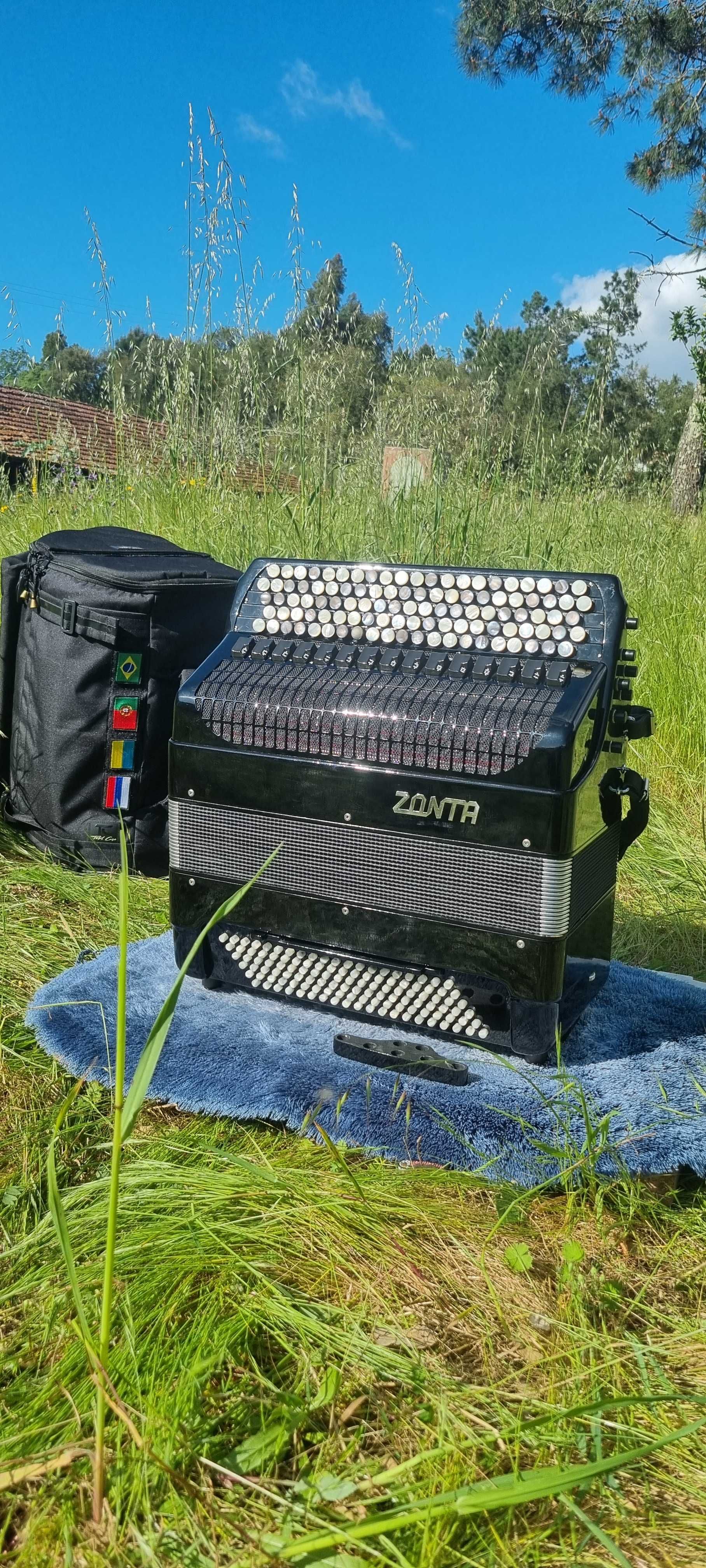 Acordeon Profissional russo (bayan)