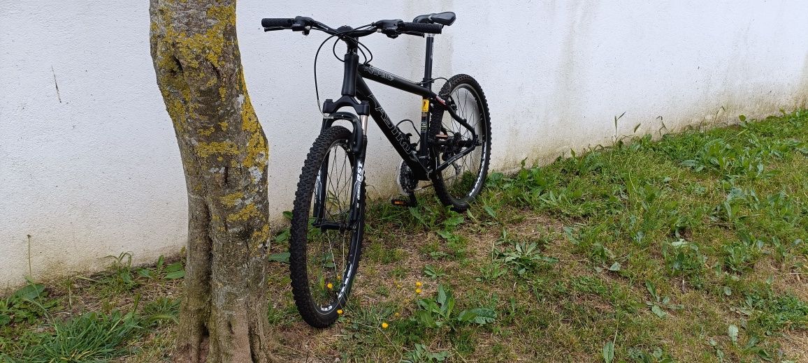 Bicicleta de montanha ASTRO VIPER