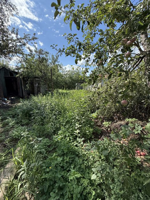 Продажа участка 5.56 соток, Холодная гора