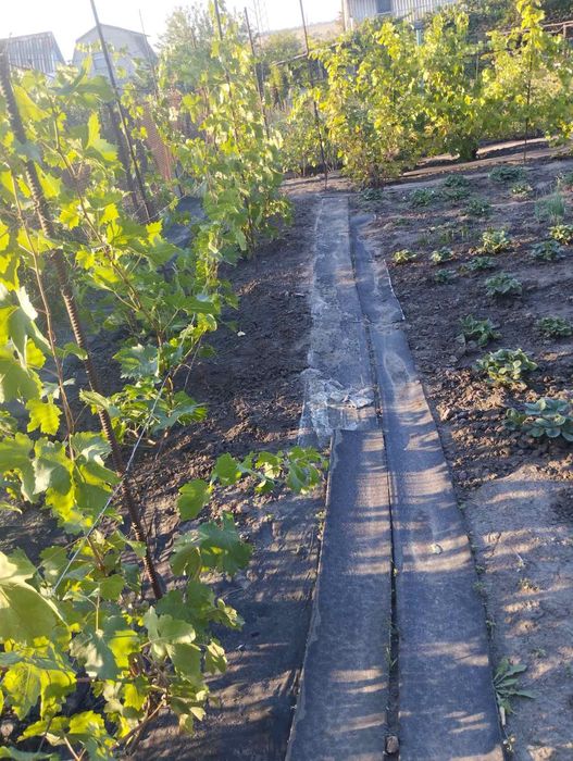 Продам дачу поруч з містом.