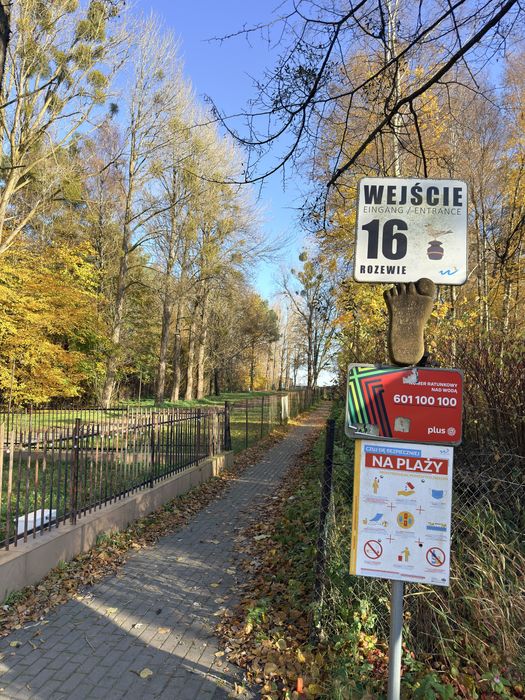 Dzialka leśna nad morzem Rozewie