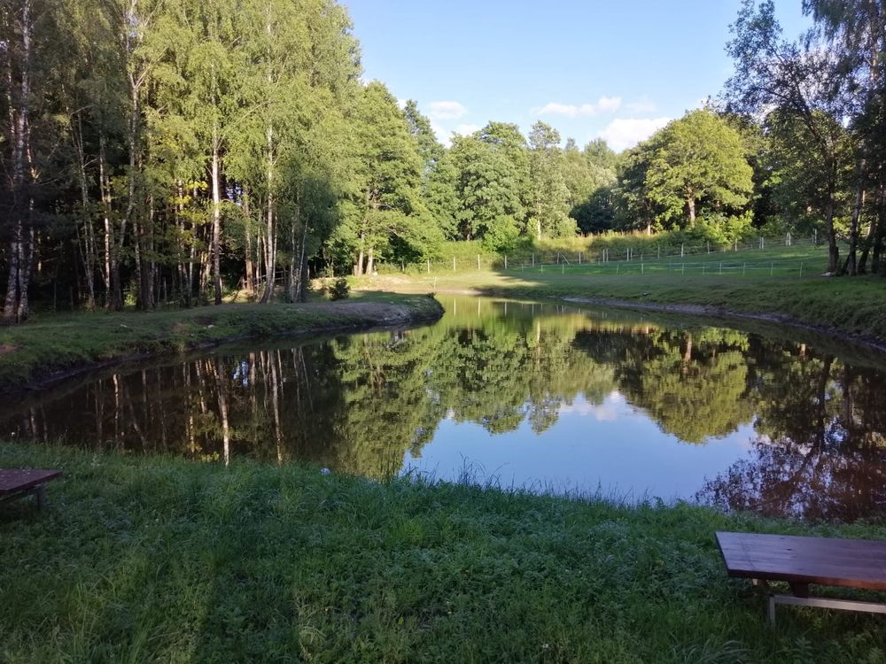 Wynajme domek na Kaszubach