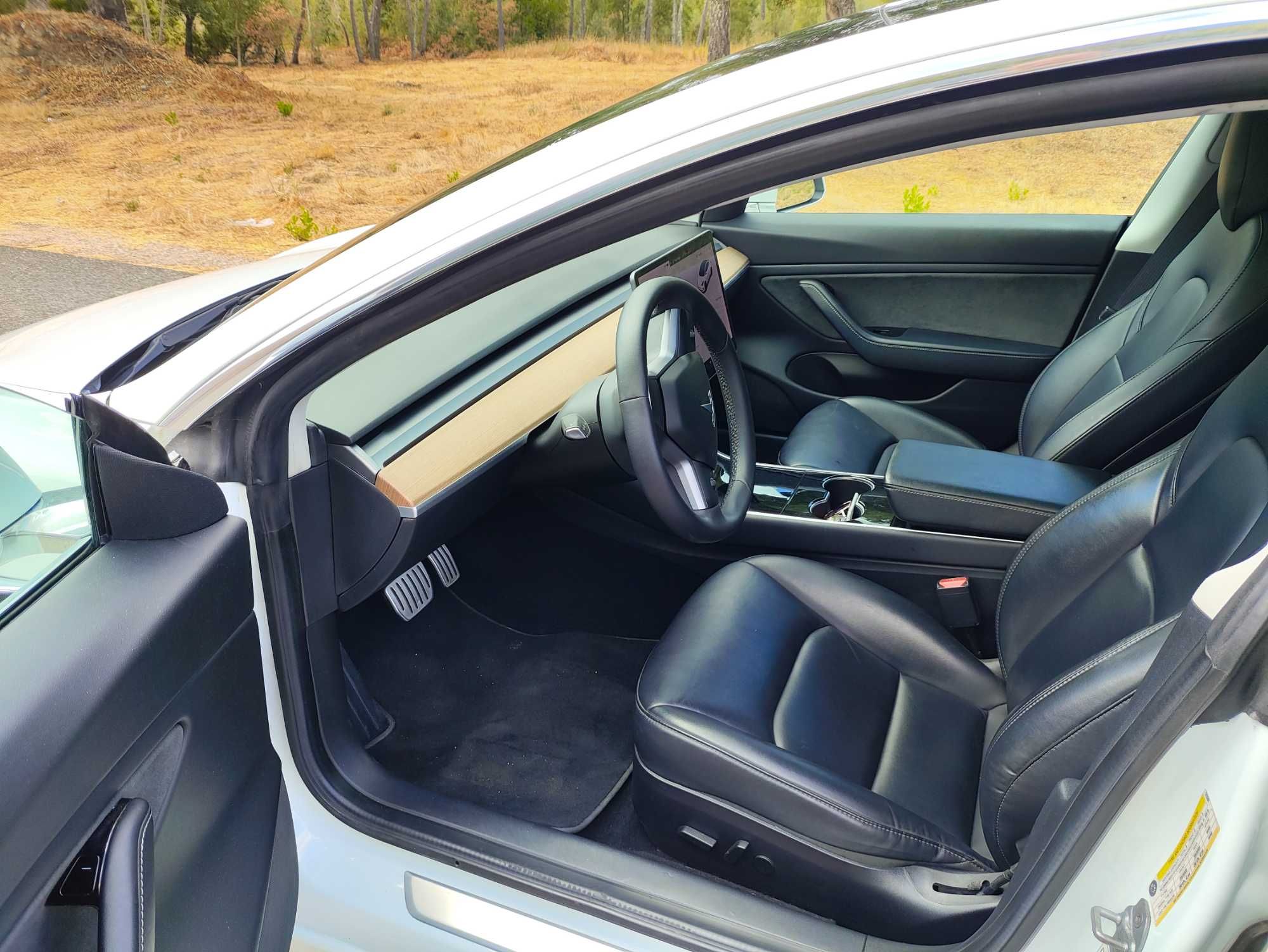 Tesla Model 3 long range Performance