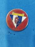 Pin emblema CD Portalegrense 1925
