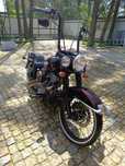 Harley Davidson softail