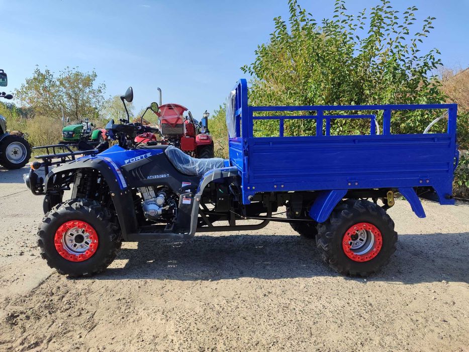 Грузовой Forte ATV 250 Квадроцикл Доставка без предоплаты