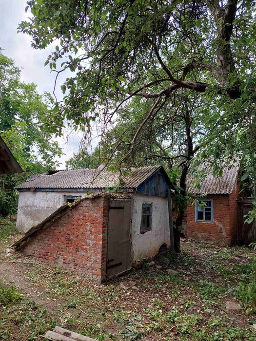 Продам Дом 60 м2 село БОРКИ 6300у.е  рядом Птицефабрика