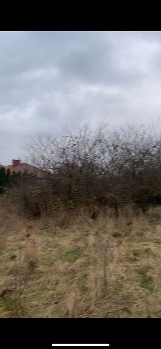 Czyszczenie działek, wycinka drzew,itp…