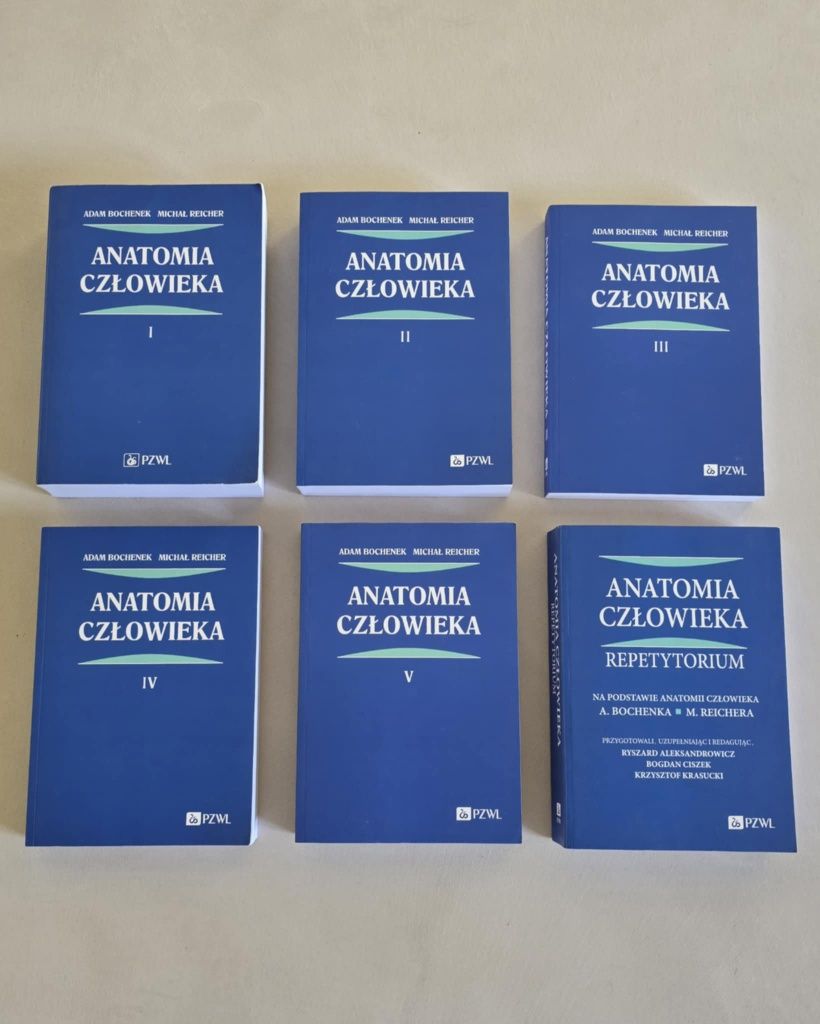 Anatomia Bochenek t 1-5 + repetytorium