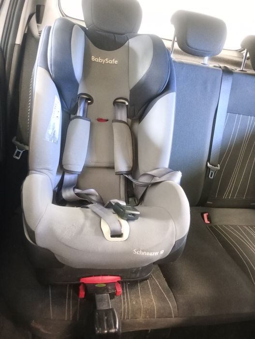 Fotelik dziecięcy Schnauzer