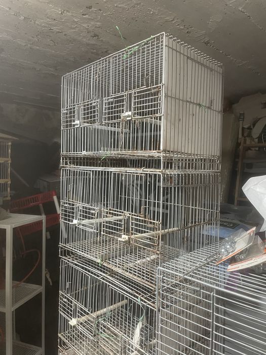 Gaiolas de criacao 50x20