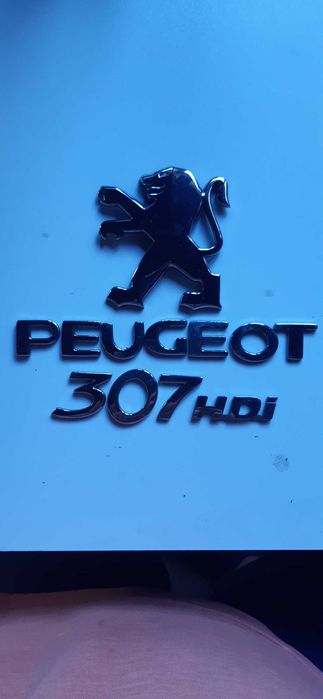 Logo, emblemat ,znaczek, napis Peugeot 307