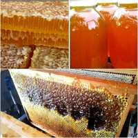 Мёд разнотравье, майский, подсолнух