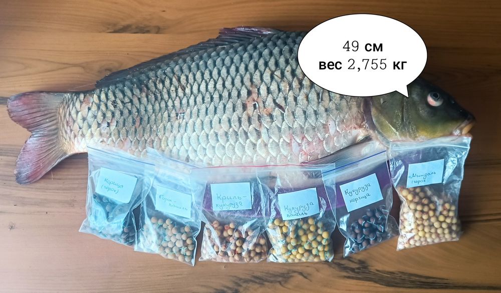 Бойлы ручной работы 100+5 шт