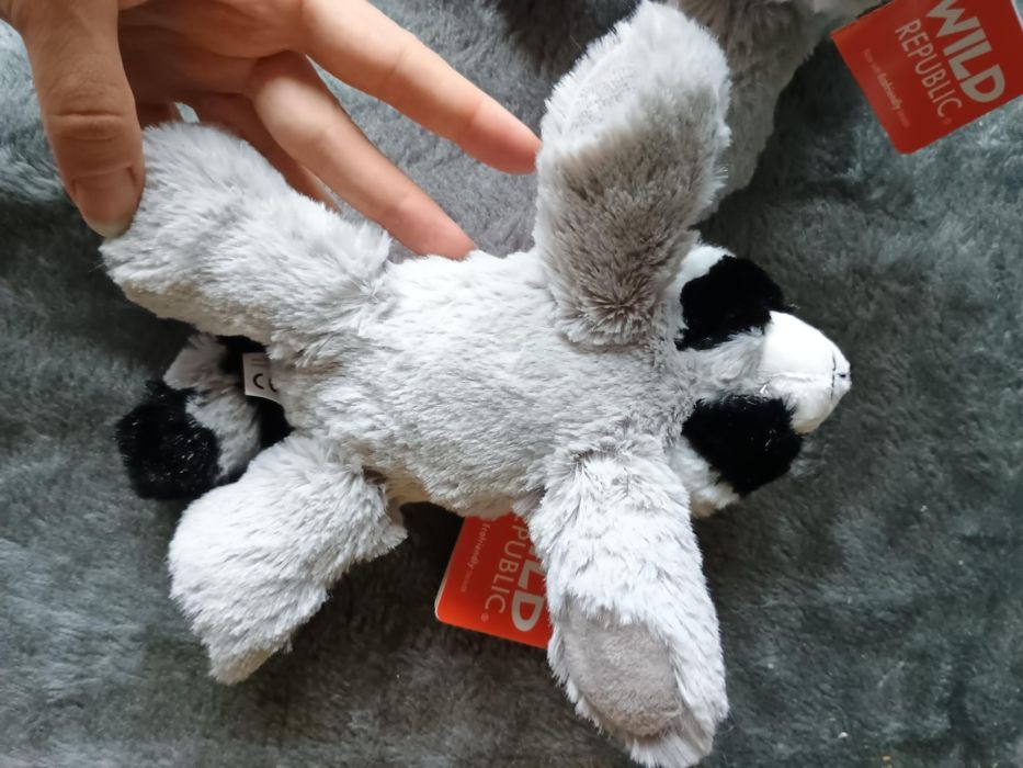 Szopy bliźniaki Wild Republic