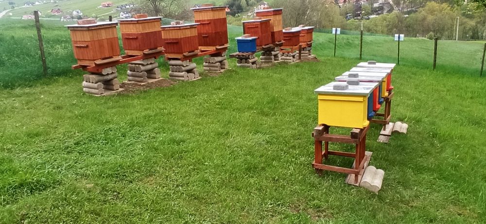 Odkłady pszczele 2025 Gotowe do odbioru