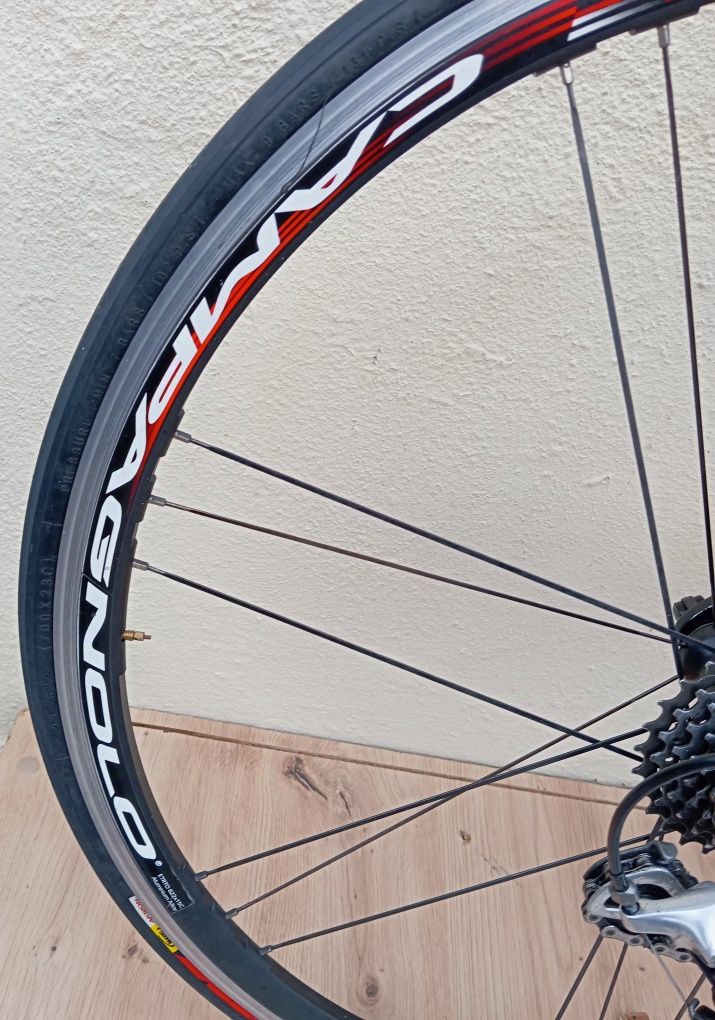 JF-Bikes  Moser 111 Carbono