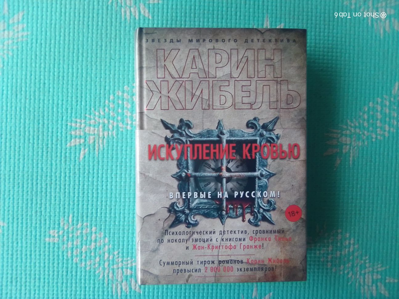 Книга Искупление кровью.Карин Жибель