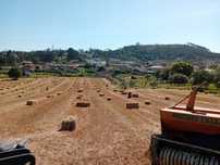 Fardos de azevem