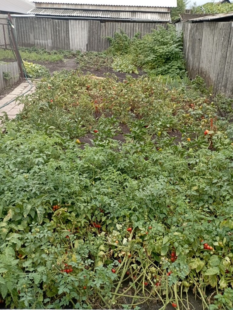 Продам 1/2 дома возле стадиона