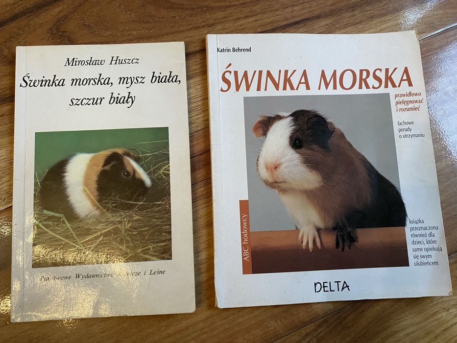 Mirosław Huszcz.  Świnka morska mysz biała szczur biały