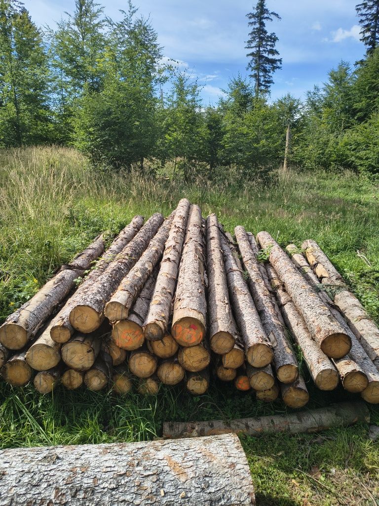 Drewno opałowe świerk