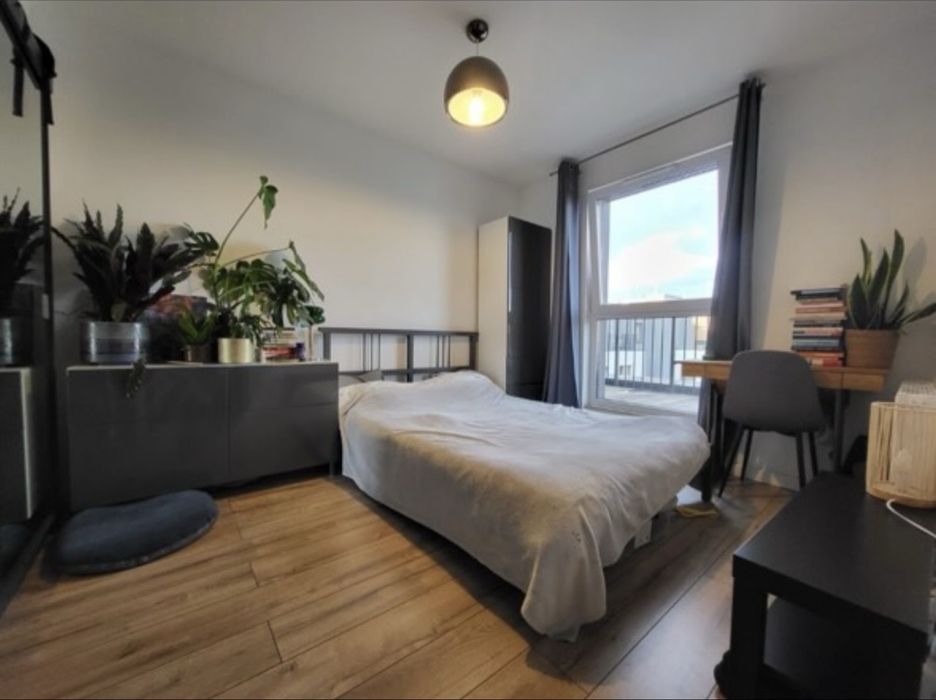 mieszkanie na wynajem Jagodno