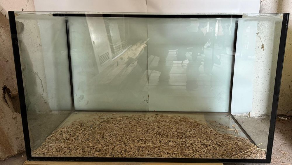 Terarium , akwarium