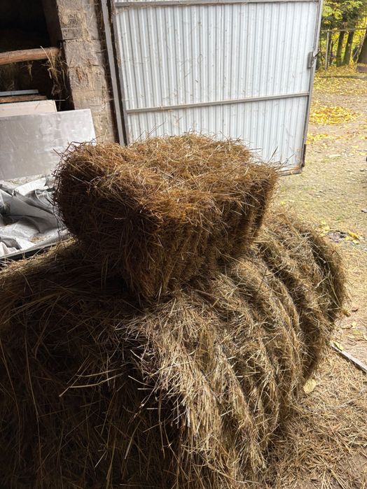Sprzedam siano w kostkach