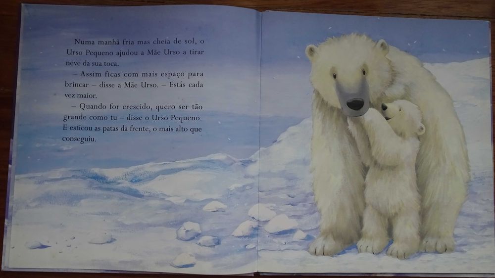 Urso Grande Urso Pequeno (Um Livro Para Tocar e Sentir)