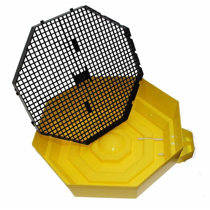 Inkubator, wylęgarka klujnik CLEO 5, półautomat 41 jaj - 60 jaj