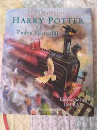 Livro Harry Potter e a Pedra Filosofal ilustrado