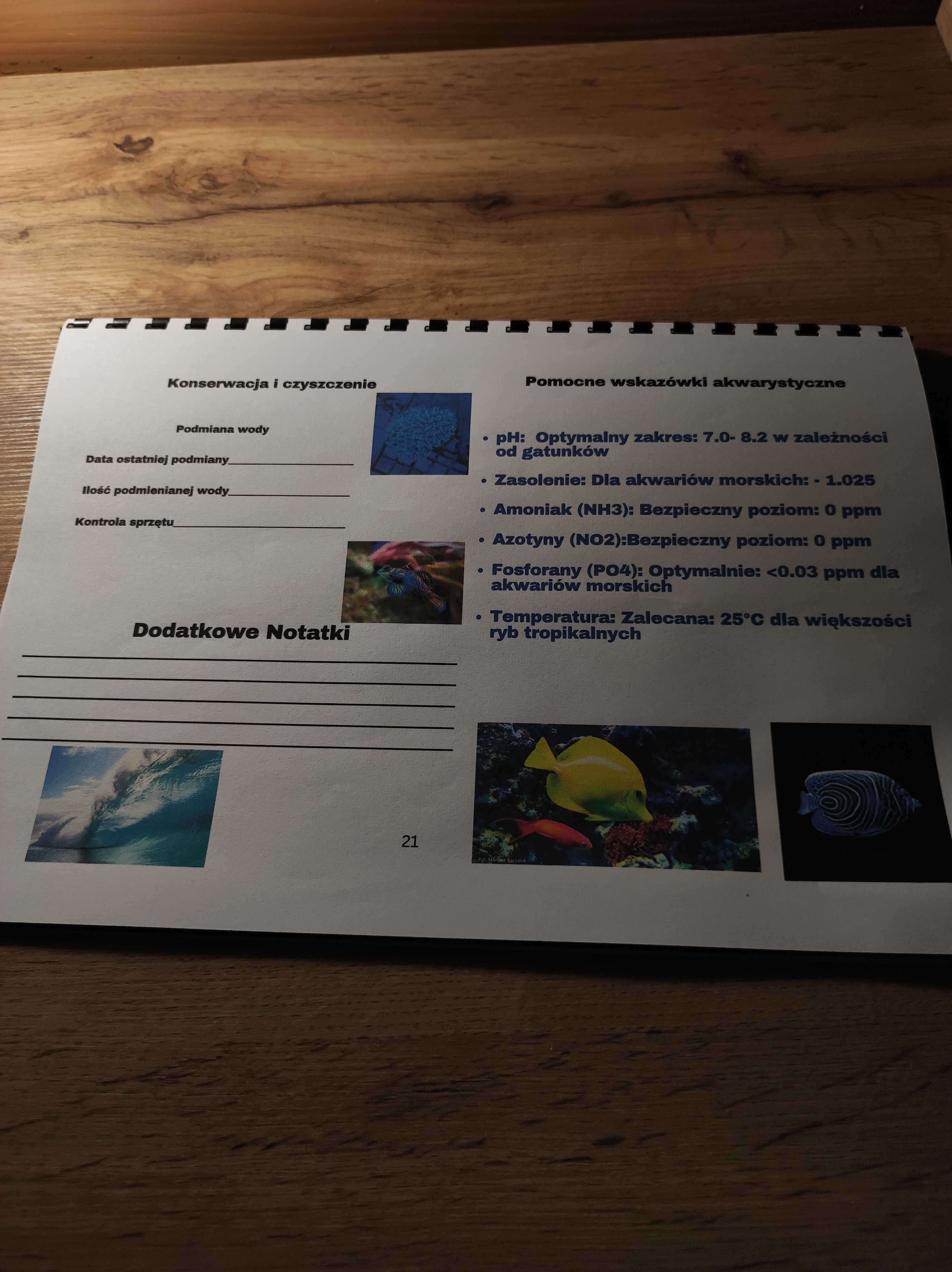 Planner akwarystyczny - akwarium morskie dla początkujących