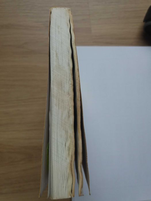 A Viagem das almas Michael Newton