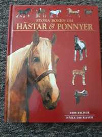 Stora Boken Om Hãstar & Ponner