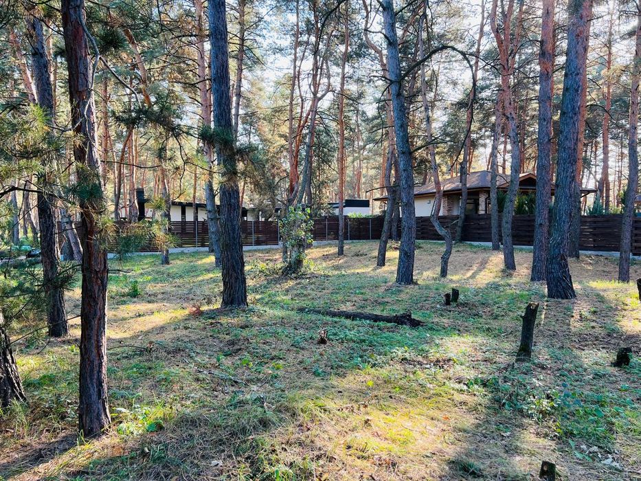 Продам участок в сосновом лесу в Обуховке закрытая территория лес река