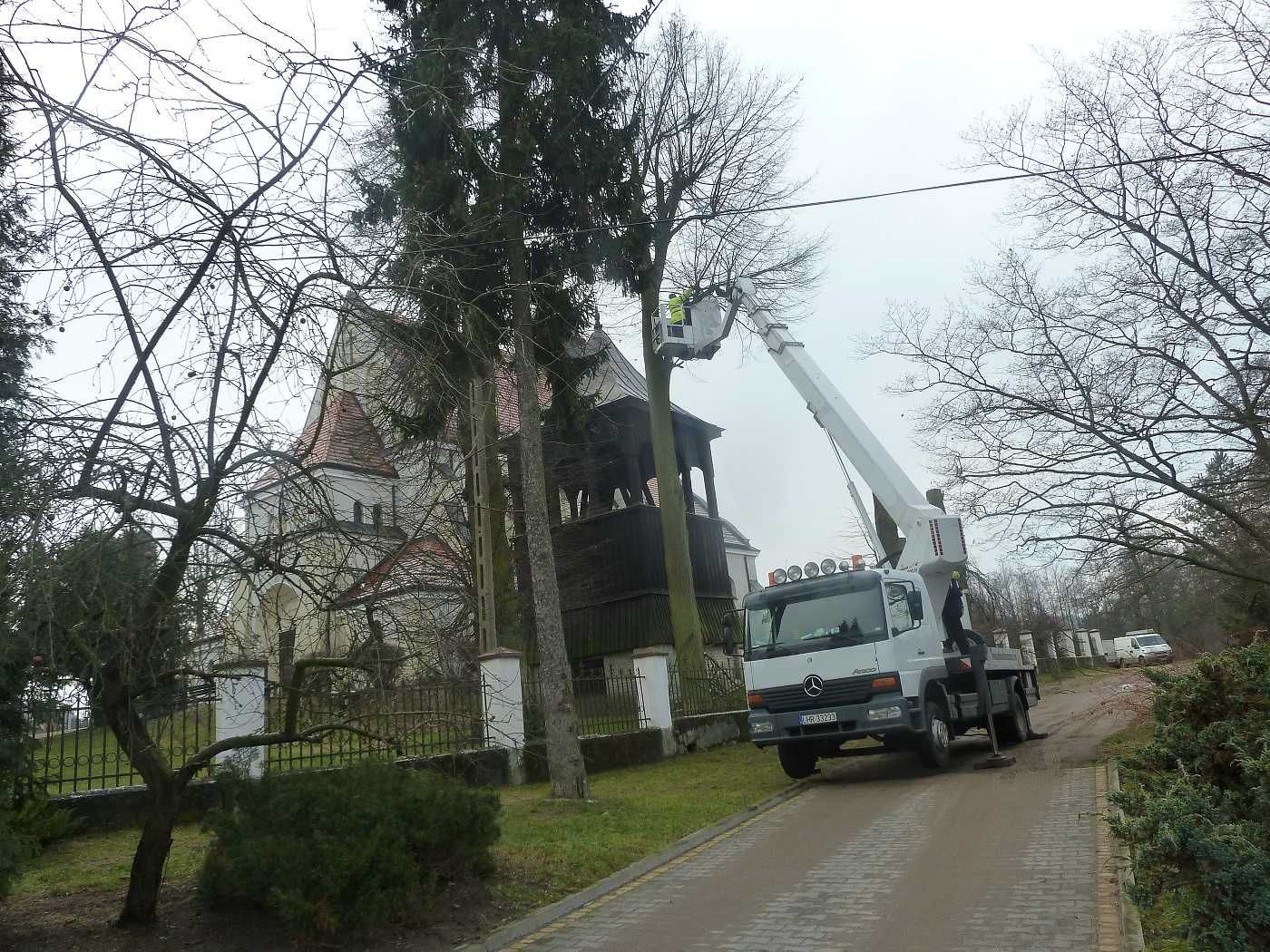 Wycinka Drzew Frezowanie  Podnośnik