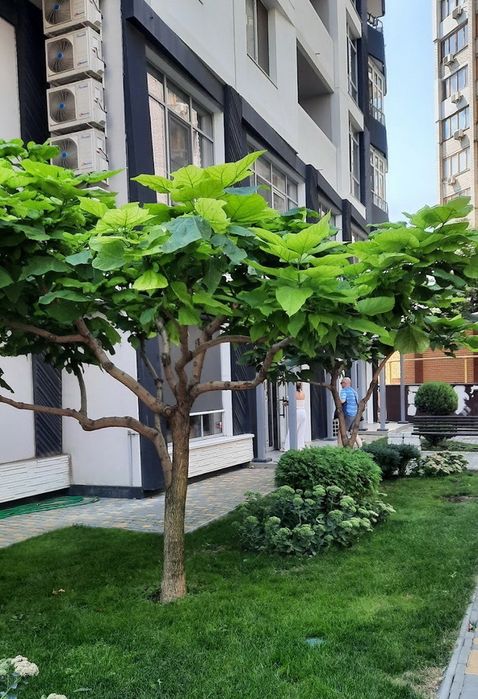 seg-02 2-х ком без аналогов кв на Генуэзкой