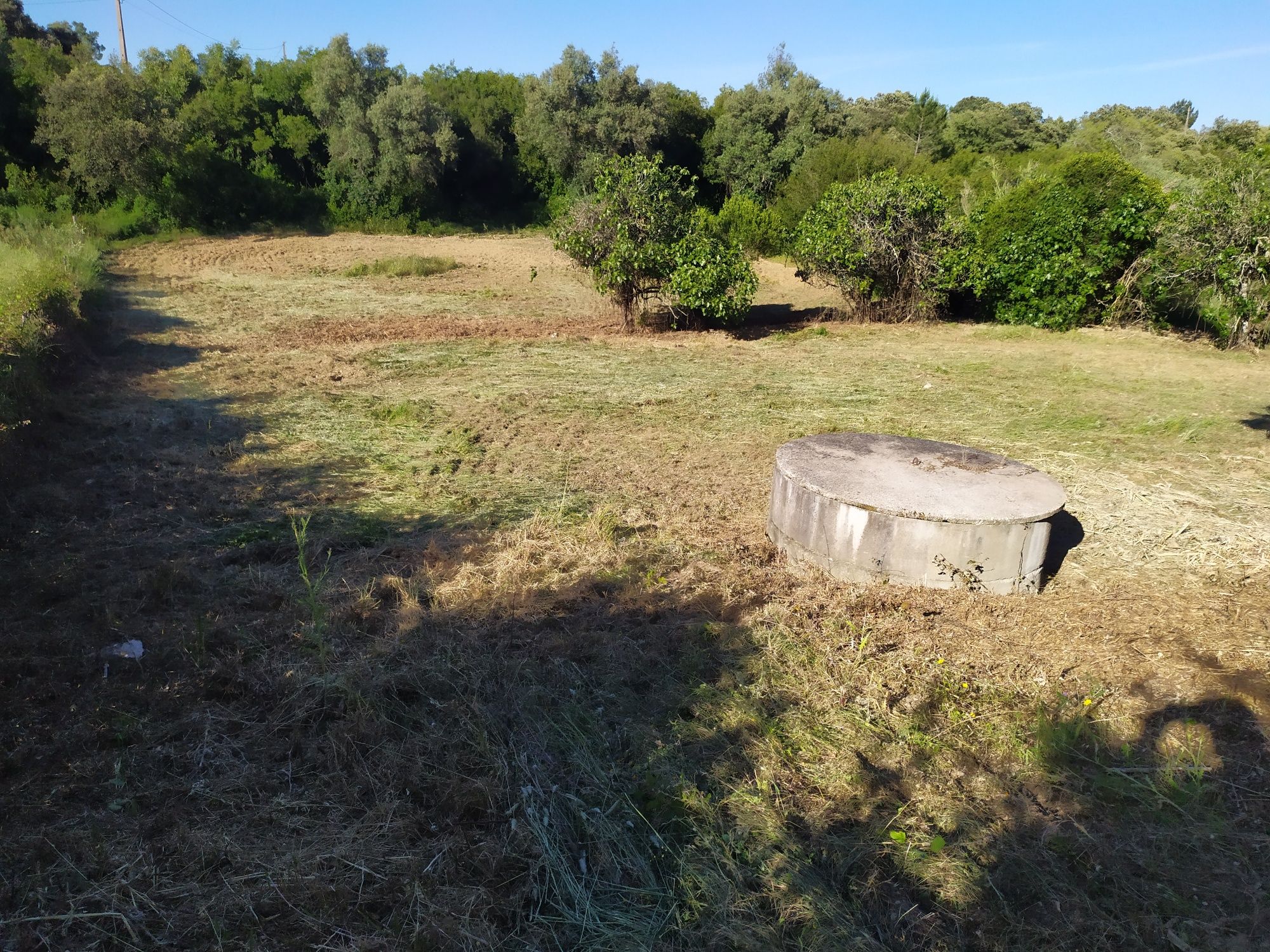 Limpeza e manutenção de terrenos e jardins