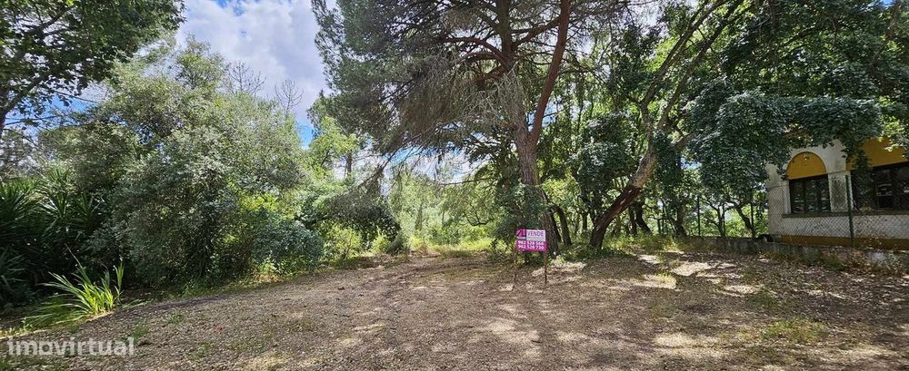 Terreno para Construção - T2959/23