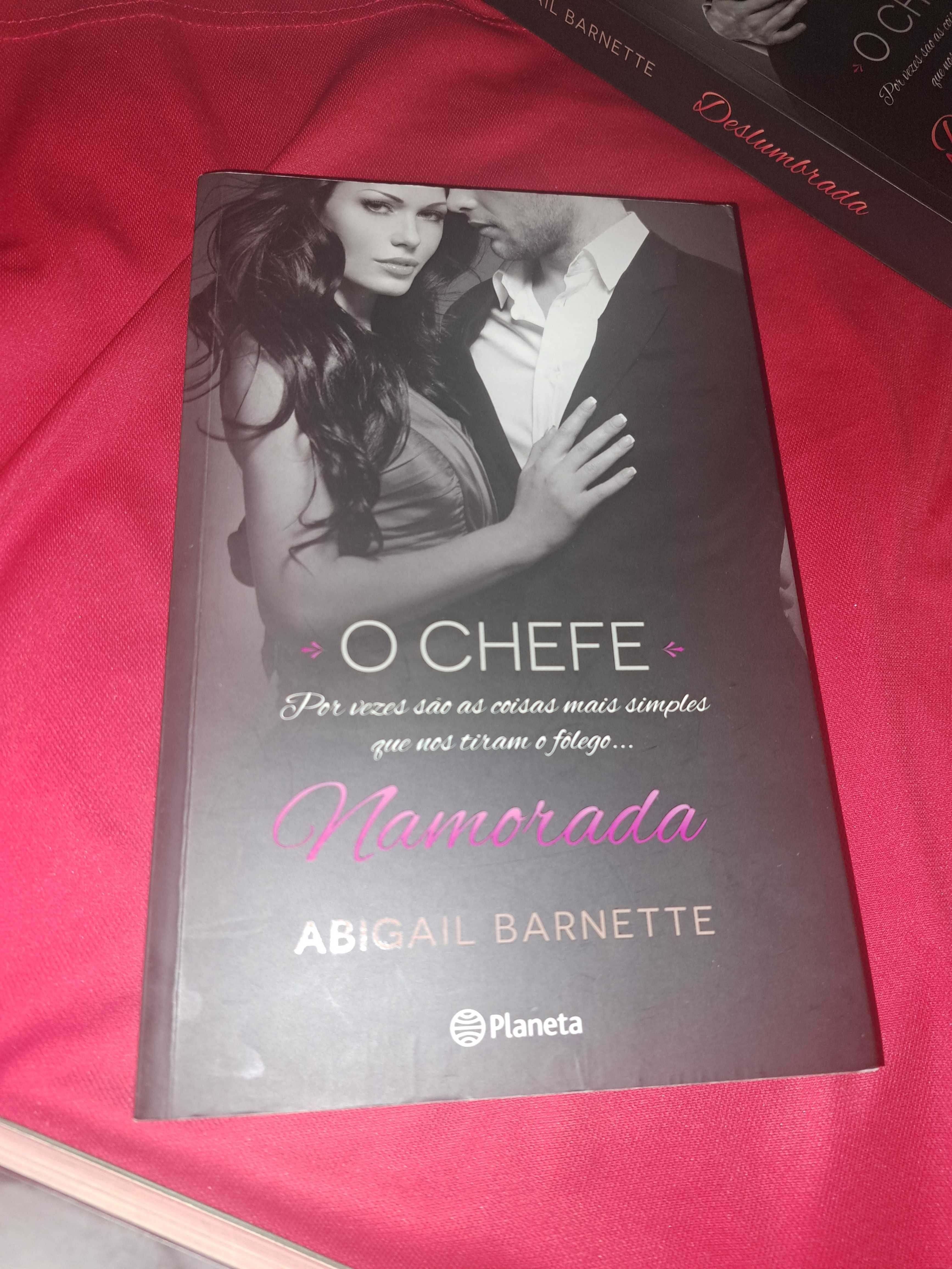 Livro O Chefe de Abigail Barnette - praticamente novos